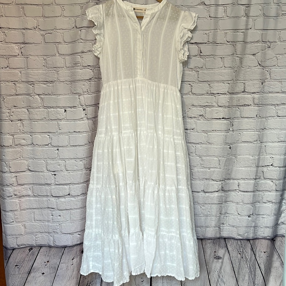 Impeccable Pig • Maxi Dress